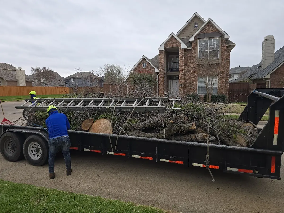 Expert Lot Clearing with proper safety equipment in Dansville